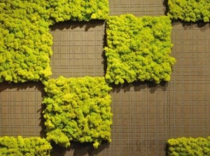 MOSStile: «живые» плитки раскрасят ваш дом всеми цветами радуги 