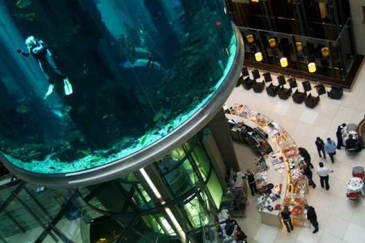 Отель Radisson Blu Hotel с 25-метровым аквариумом: дайвинг в центре Берлина