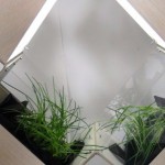 Herb 2: гибкая комнатная перегородка и сад два в одном