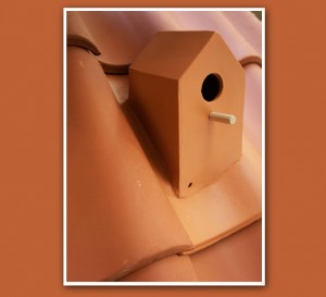 Кровельная плитка Birdhouse: удобное гнездовье для птиц на вашей крыше Кровельная плитка Birdhouse: удобное гнездовье для птиц на вашей крыше