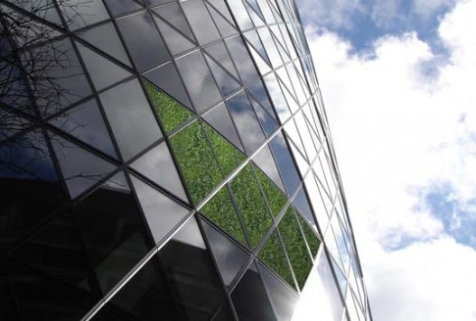 Знаменитый небоскреб-огурец в Лондоне скоро станет действительно зеленым!