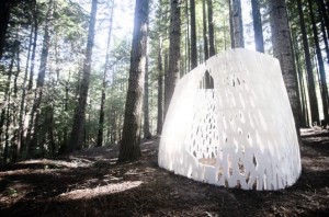 Echoviren: первый в мире 3D-печатный павильон построен в Калифорнии Echoviren: первый в мире 3D-печатный павильон построен в Калифорнии