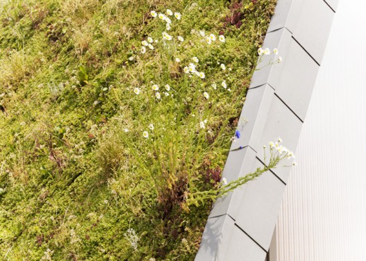 Новый дом с зеленой крышей во Франции меняет цвет в зависимости от сезона