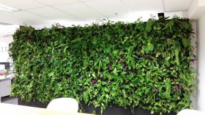 PodPlants: новый модульный вертикальный сад для закрытых помещений