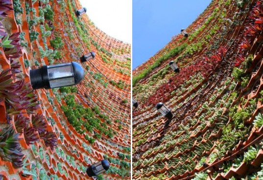 Потрясающий вертикальный сад построен во внутреннем дворике отеля Ushuaia Ibiza