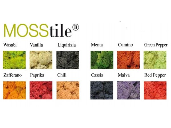 MOSStile: «живые» плитки раскрасят ваш дом всеми цветами радуги