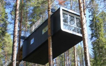 Отель Tree Hotel был построен на вершине дерева.