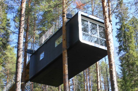 Отель Tree Hotel был построен на вершине дерева.