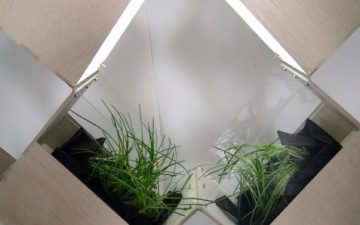 Herb 2: гибкая комнатная перегородка и сад два в одном Herb 2: гибкая комнатная перегородка и сад два в одном