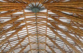 Бамбук: новый супер-конструкционный материал