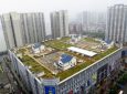 На зеленой крыше торгового центра в Китае построены 4 здания