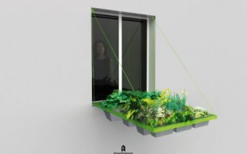 Новый плантатор позволяет выращивать растения прямо в окне