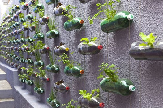 Новые идеи строительства вертикальных садов от фирмы Розенбаум