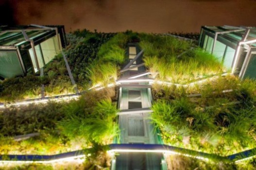 Вертикальный сад на Дворце Съездов в Испании, состоящий из 33 тысяч растений