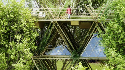 Новая концепция эко-отеля: комфортный отдых в бамбуковом домике на дереве