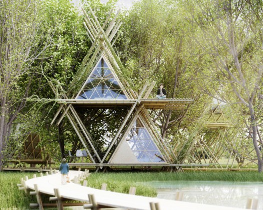 Новая концепция эко-отеля: комфортный отдых в бамбуковом домике на дереве