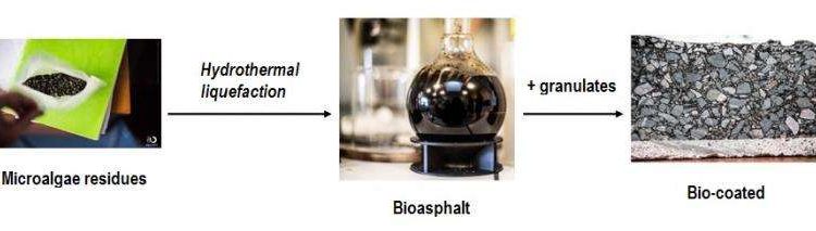 Микроводоросли могут быть использованы для изготовления «зеленого» асфальта