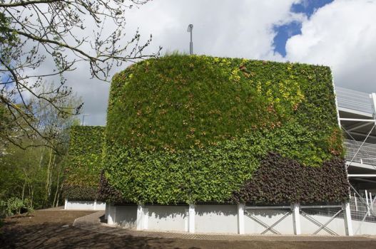 На фасаде многоэтажной парковки в Великобритании построена самая большая в Европе «живая стена»
