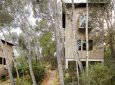 Two Cork Houses: энергоэффективные домики в лесном ландшафте