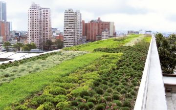 Зеленые крыши способствуют улучшению качества воздуха внутри зданий