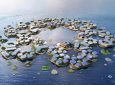 Проект плавучего города на 10 тысяч человек утвержден ООН