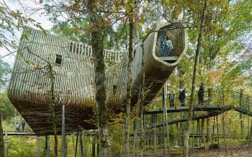 Дом на дереве в форме бумеранга: интерактивное образование для детей и взрослых