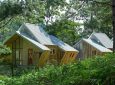 Геометрический сосновый дом для горной местности Вьетнама