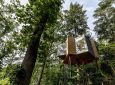 В датском лесу появился роскошный мини-отель на верхушке дерева