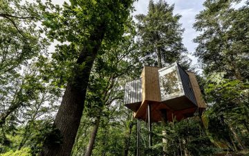В датском лесу появился роскошный мини-отель на верхушке дерева