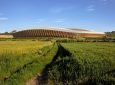 Деревянный стадион Zaha Hadid Architects получил разрешение на строительство