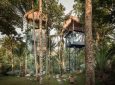 Бутик-отель на дереве - шикарный отдых на минимальной площади