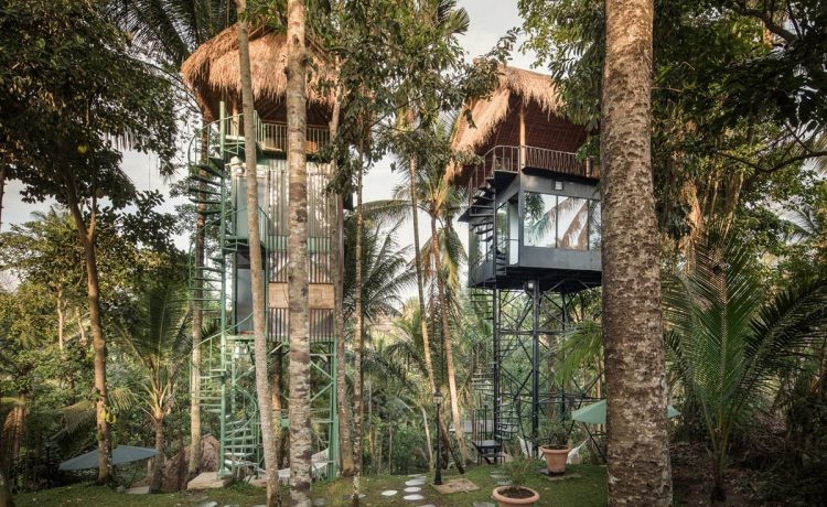 Бутик-отель на дереве - шикарный отдых на минимальной площади