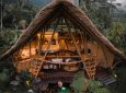 Этот скрытый зеленью глэмпинг на Бали полностью построен из бамбука