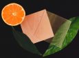 Прозрачная древесина с экстрактом апельсиновой корки: экологичный материал для строительства