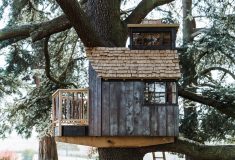 Себастьян Кокс построил изящный домик на дереве из обожженной лиственницы