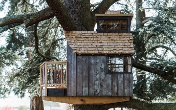 Себастьян Кокс построил изящный домик на дереве из обожженной лиственницы