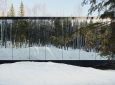 «Невидимый» роскошный глэмпинг среди леса в Канаде