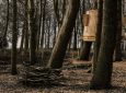 Sylvascope: дом на дереве как символ эффективного управления лесными угодьями