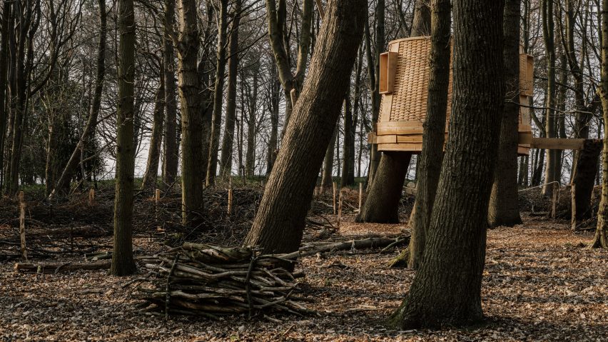 Sylvascope: дом на дереве как символ эффективного управления лесными угодьями