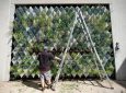 «Живая стена» для выращивания растений сделана из переработанных материалов