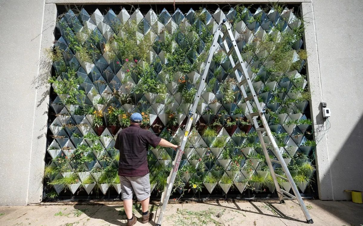 «Живая стена» для выращивания растений сделана из переработанных материалов