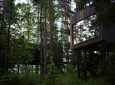 Шведский люксовый эко-ретрит предлагает проживание среди верхушек деревьев