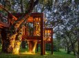 Этот очаровательный домик для отдыха в Бразилии выглядит как часть дерева