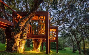 Этот очаровательный домик для отдыха в Бразилии выглядит как часть дерева