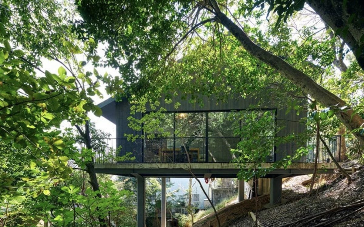 Обшитый темным кедром дом «парит» над зеленым склоном в Японии