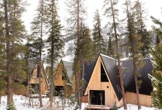 A-frame Club: серия сборных домиков с А-образным корпусом в Колорадо
