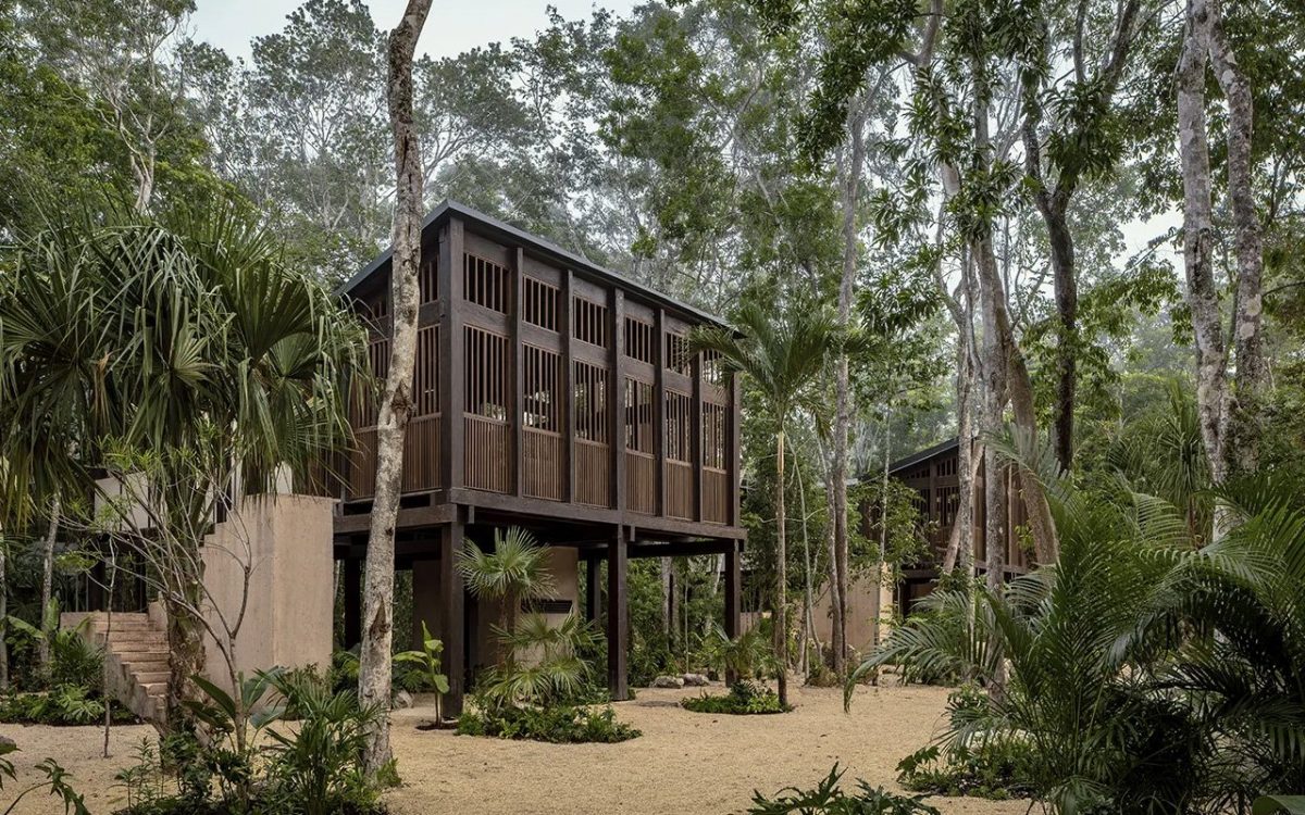 Этот мексиканский отель состоит из домиков на деревьях, которые помогут улучшить ментальное здоровье гостей