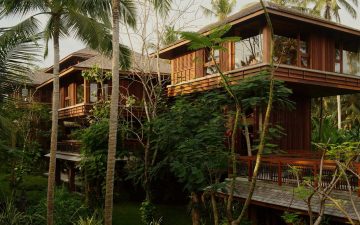 Курорт на деревьях на Бали: тропическое место для отдыха