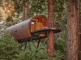 Домик, похожий на подзорную трубу, «вырос» на дереве в лесу Калифорнии
