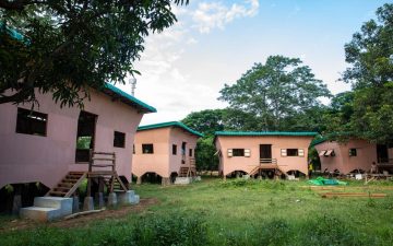 Бамбуковые дома в Бирме выдерживают землетрясение магнитудой 7,7 Бамбуковые дома в Бирме выдерживают землетрясение магнитудой 7,7